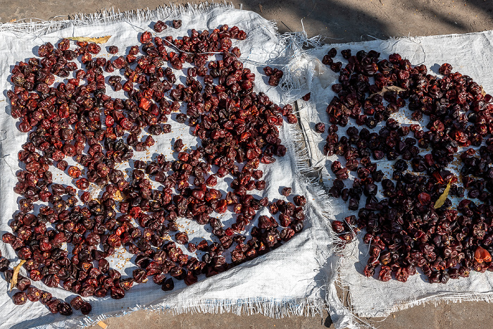 Bago-Region Fahrt Pyay - Htone Bo