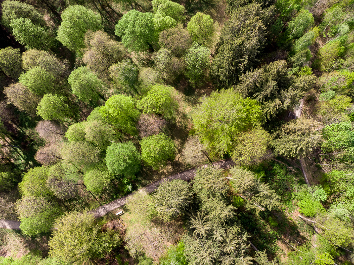 Gauting Kreuzlinger Forst Luftbild aerial photo