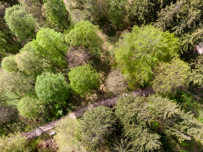 Gauting Kreuzlinger Forst Luftbild aerial photo