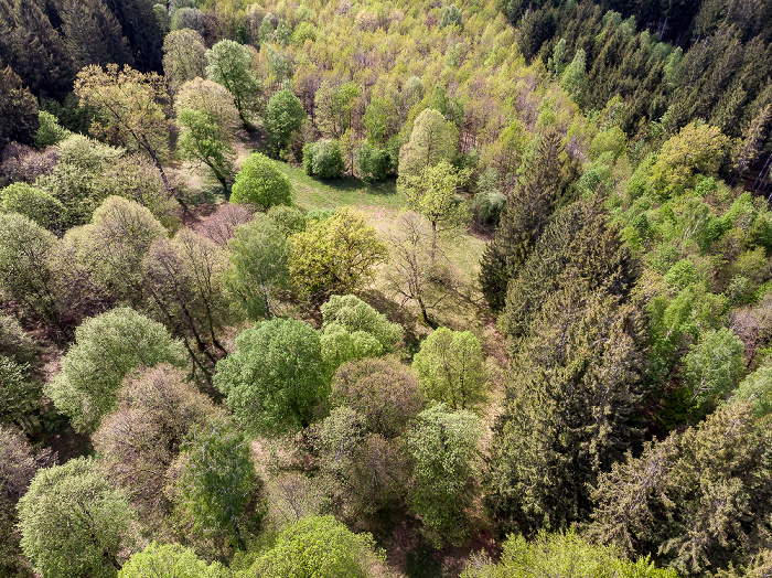 Gauting Kreuzlinger Forst Luftbild aerial photo