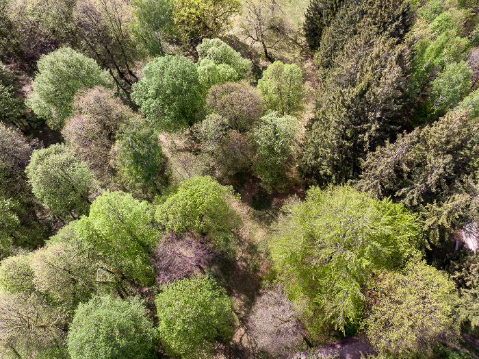 Gauting Kreuzlinger Forst Luftbild aerial photo