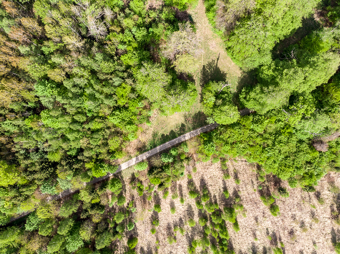 Gauting Kreuzlinger Forst Luftbild aerial photo