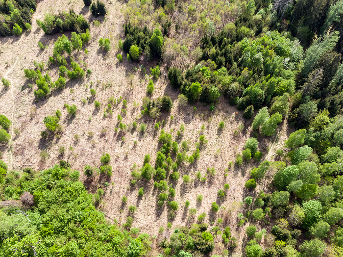 Gauting Kreuzlinger Forst Luftbild aerial photo