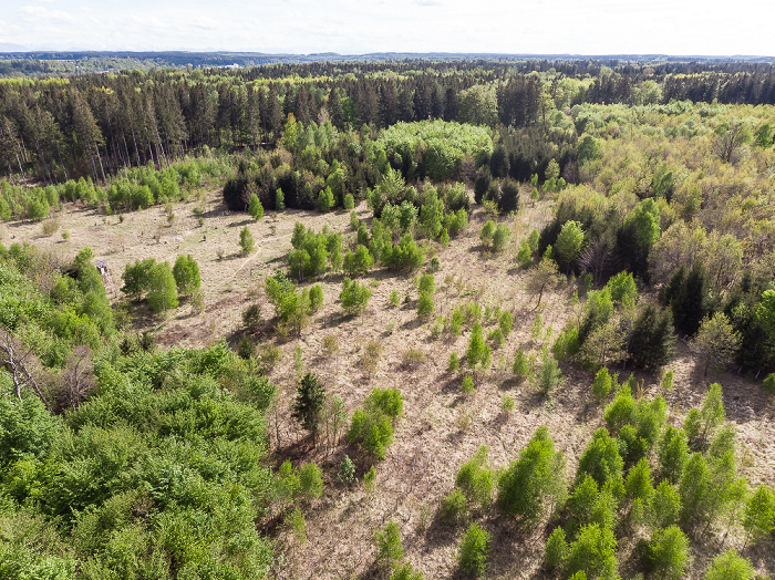 Gauting Kreuzlinger Forst Luftbild aerial photo