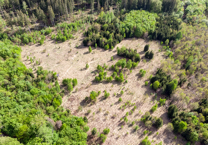 Gauting Kreuzlinger Forst Luftbild aerial photo