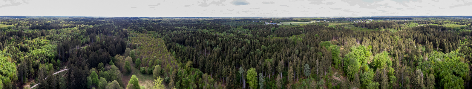 Gauting Kreuzlinger Forst Luftbild aerial photo