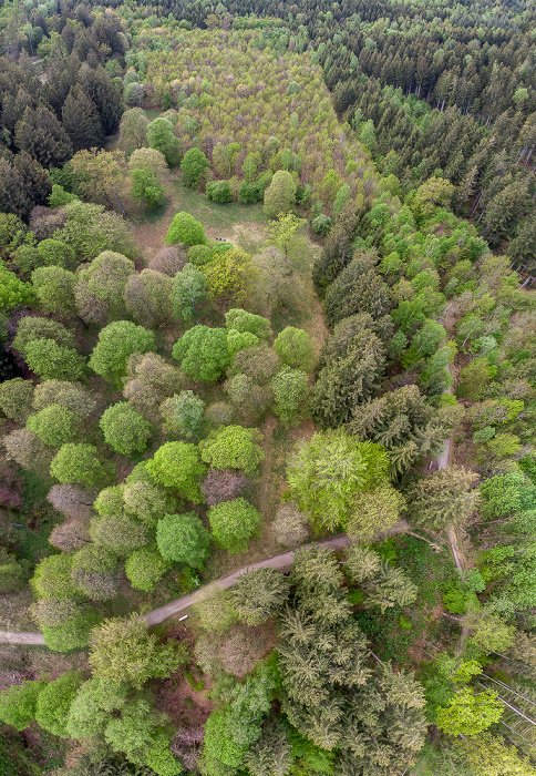 Gauting Kreuzlinger Forst Luftbild aerial photo