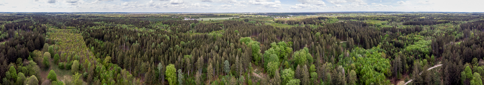 Gauting Kreuzlinger Forst Luftbild aerial photo