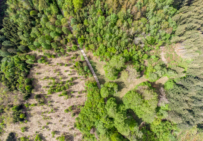 Gauting Kreuzlinger Forst Luftbild aerial photo