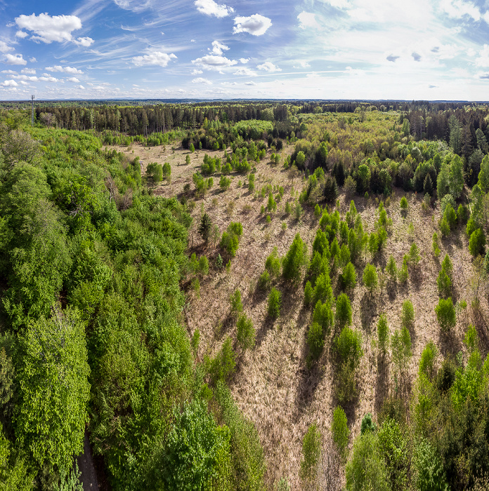 Gauting Kreuzlinger Forst Luftbild aerial photo