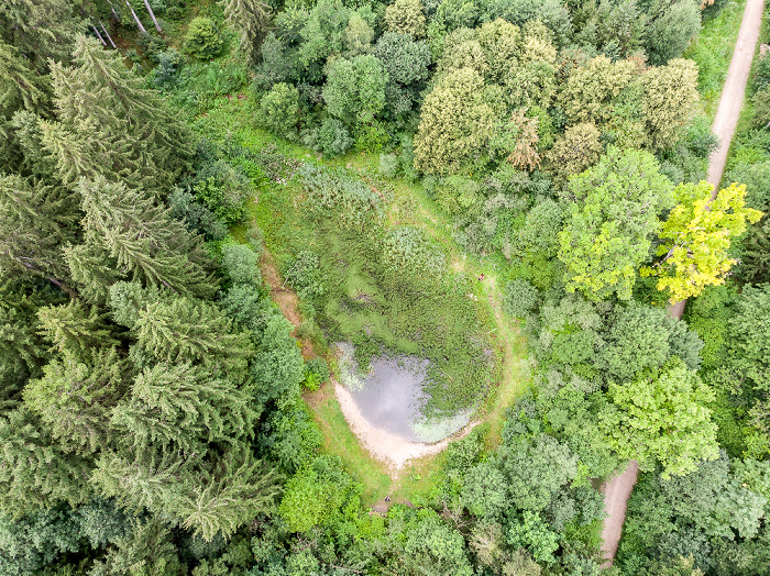 Krailling Kreuzlinger Forst Luftbild aerial photo