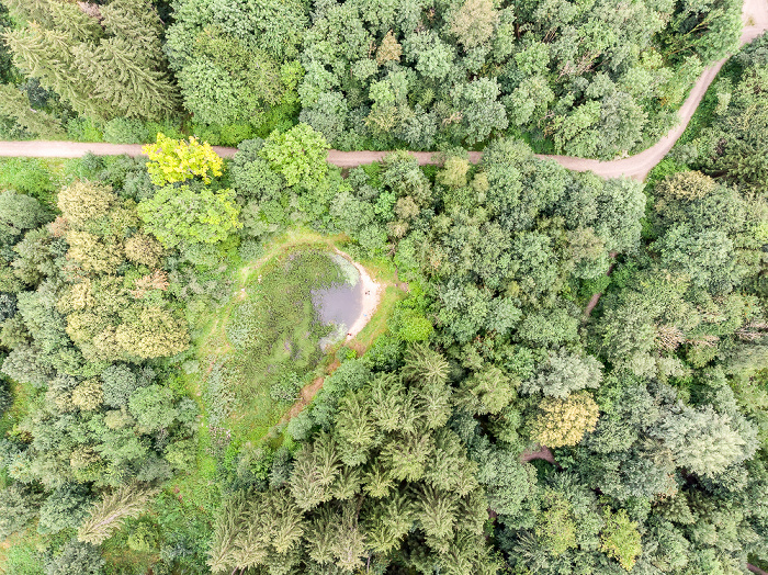 Krailling Kreuzlinger Forst Luftbild aerial photo