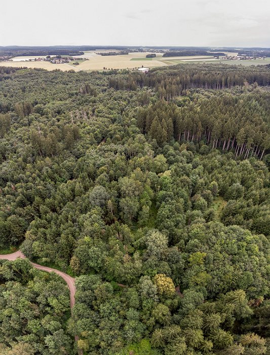 Kreuzlinger Forst Krailling