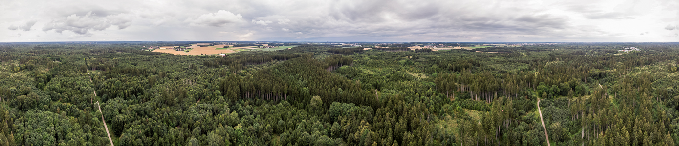 Kreuzlinger Forst Krailling