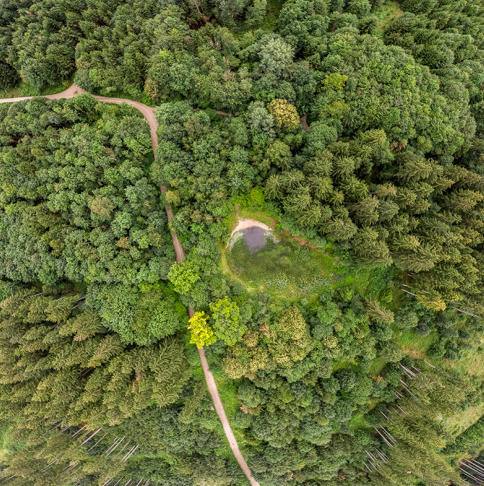 Krailling Kreuzlinger Forst Luftbild aerial photo