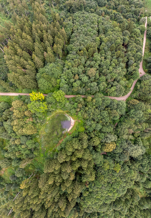 Krailling Kreuzlinger Forst Luftbild aerial photo