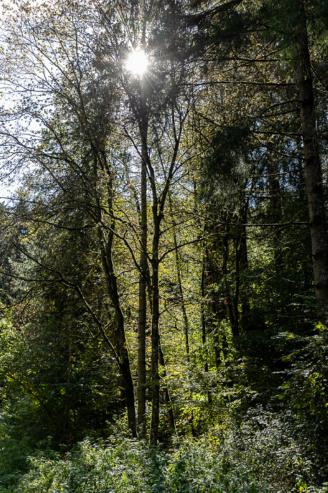 Teufelsgraben Valley