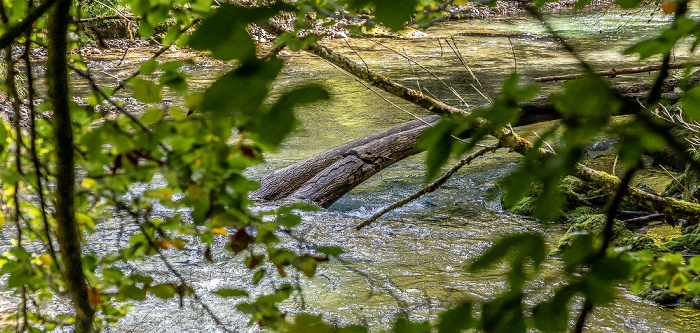 Mangfallschlucht: Mangfall Weyarn