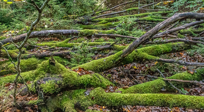 Mangfallschlucht Weyarn