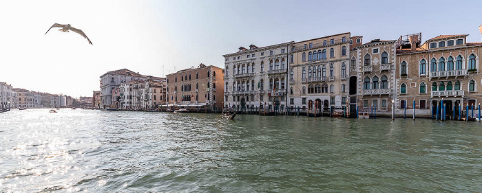 Venedig Canal Grande (v.r.): Palazzo Venier Contarini, Palazzo Contarini Fasan, Palazzo Ferro Fini, Rio de l'Alboro und Palazzo Pisani Gritti
