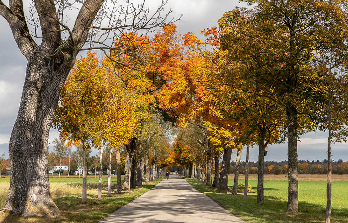 Oberschleißheim Münchner Allee