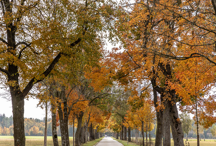 Münchner Allee Oberschleißheim