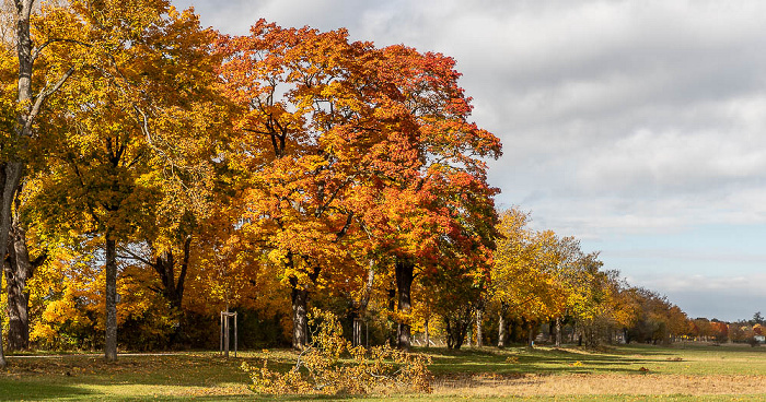 Oberschleißheim Münchner Allee