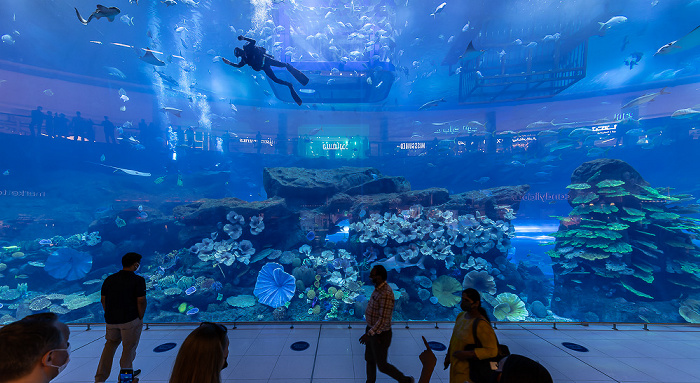 Dubai Mall