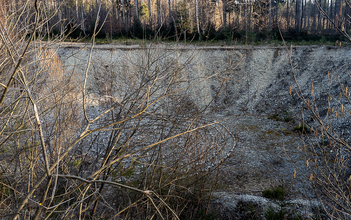 Steinkreis Gautinger Wald Gauting