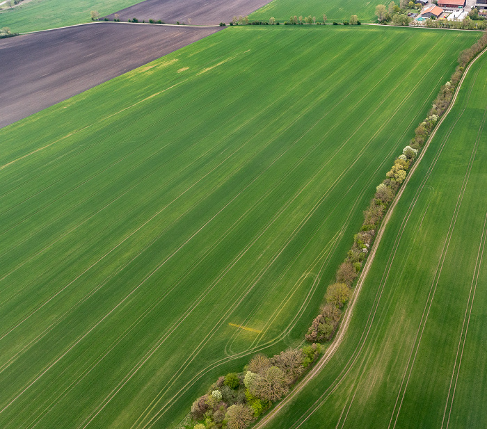 Luftbild aus Zeppelin Oberschleißheim