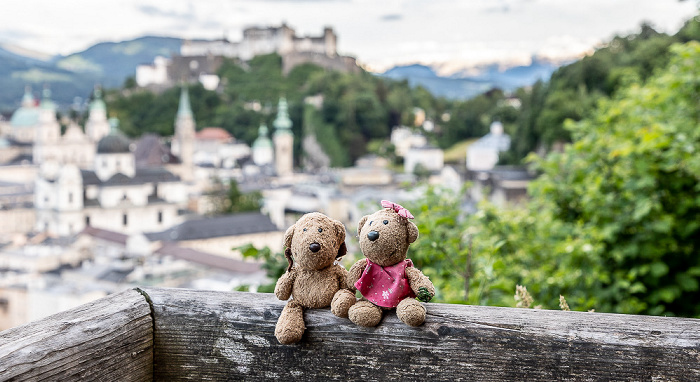 Salzburg Mönchsberg: Teddy, Teddine Altstadt Festung Hohensalzburg