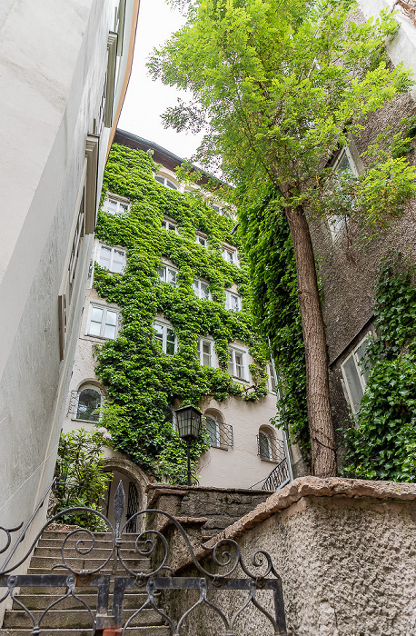 Altstadt: Steingasse Salzburg