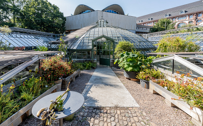 Basel Botanischer Garten der Universität: Viktoriahaus
