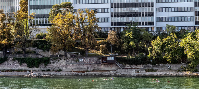 Rhein mit Schwimmern Basel