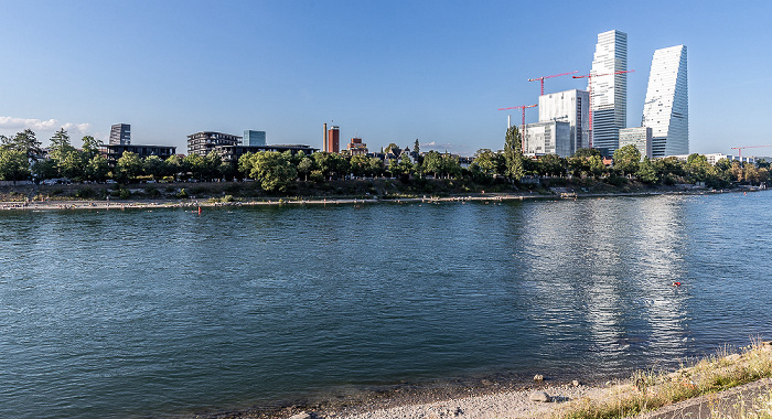 Basel Rhein, Roche Tower