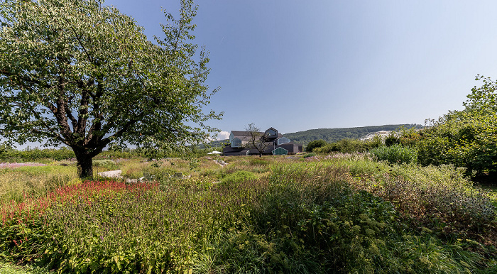 Weil am Rhein Vitra Campus: Oudolf Garten (Fiet Oudolf) VitraHaus