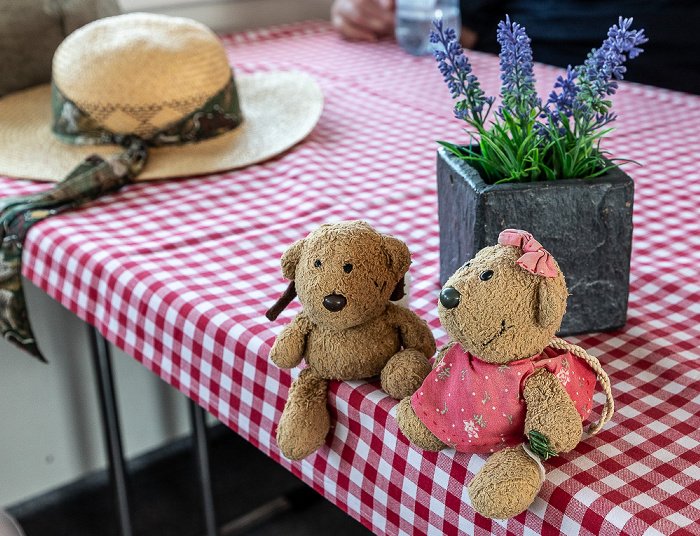 Bodensee Schiff Meersburg - Friedrichshafen - Lindau: Teddy, Teddine