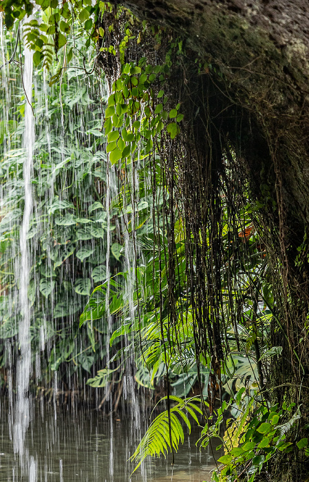 Insel Mainau Schmetterlingshaus: Wasserfall