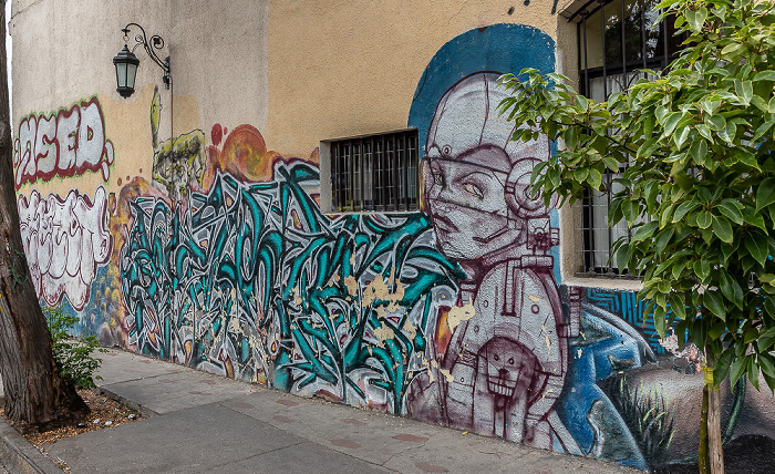 Santiago de Chile Barrio Brasil: Maturana - Street Art
