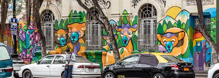 Santiago de Chile Barrio Brasil: Avenida Brasil - Street Art