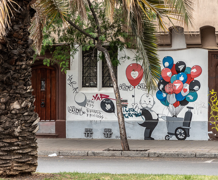 Santiago de Chile Barrio Brasil: Avenida Brasil - Street Art