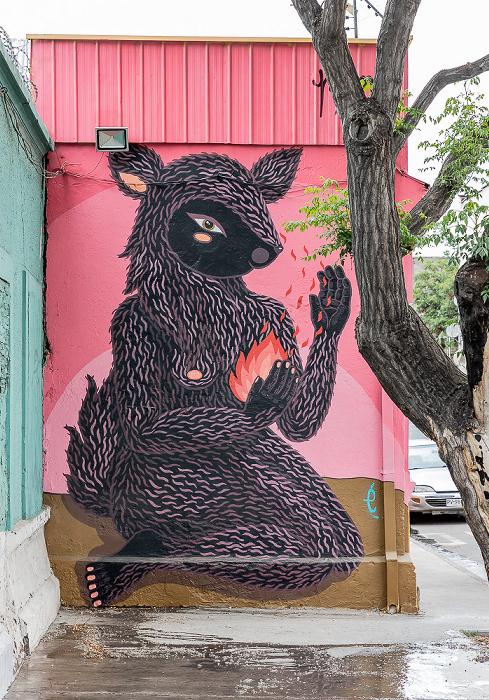 Santiago de Chile Libertad: Street Art