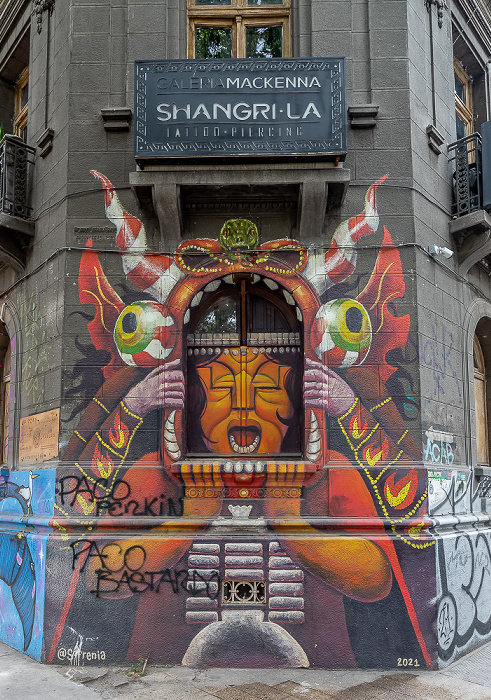 Providencia: Avenida Vicuña Mackenna / Almirante Simpson: Street Art Santiago de Chile
