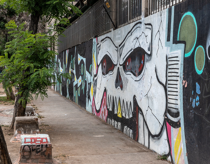 Santiago de Chile Barrio Bellavista: Bellavista - Street Art