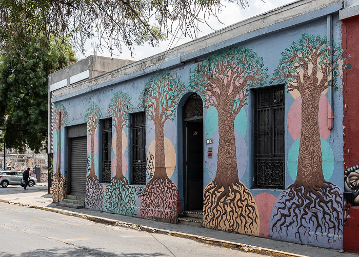 Barrio Bellavista: Loreto - Street Art Santiago de Chile