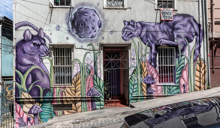 Cerro Concepción: Almirante Montt - Street Art Valparaíso