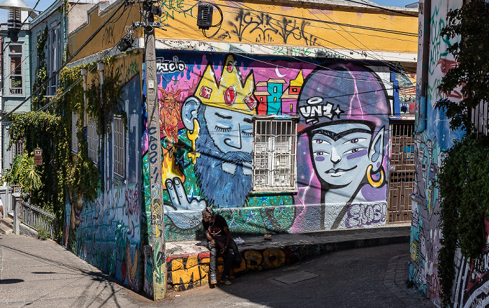 Valparaíso Cerro Concepción: Dimalow - Street Art