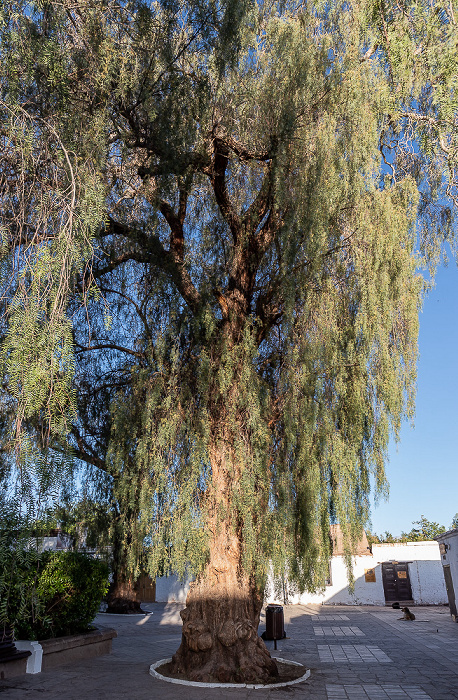 Plaza San Pedro de Atacama