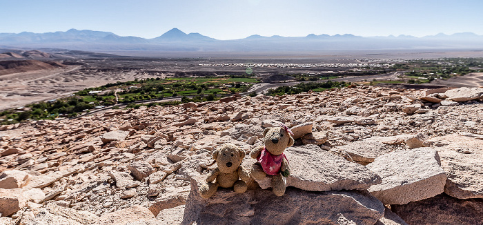 San Pedro de Atacama Pukará de Quitor: Teddy und Teddine Valle del Río San Pedro de Atacama