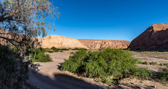 Valle del Río San Pedro de Atacama